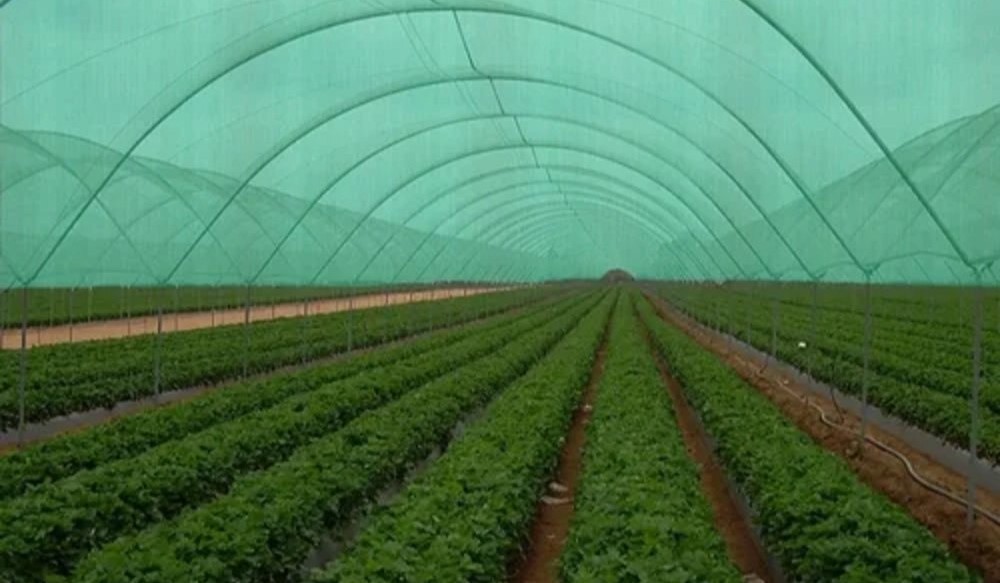 Shade-net polyhouse for crops